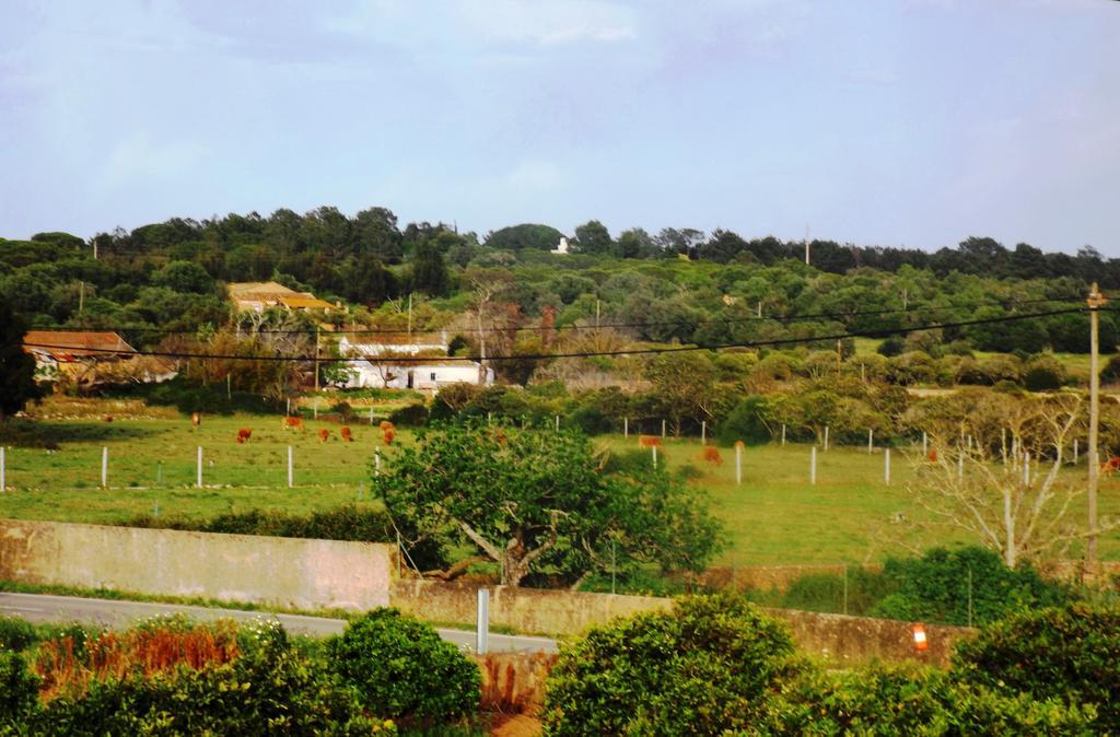 Casas Do Pomar Villa Lagos Rom bilde